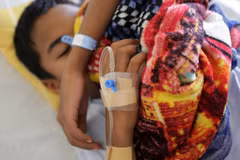 Myanmar: Dengue fever kills 48, infects over 10,700 people