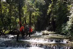 Quang Binh offers free wifi at Phong Nha-Ke Bang