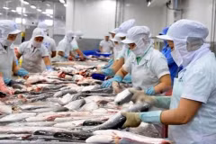 Vietnam’s foreign trade to exceed 500 billion USD in 2019