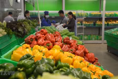 Fruit, vegetable exports bounce back in April 