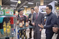 Thanh Hoa province promotes trade in Russia