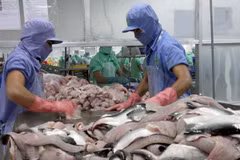 Can Tho’s import-export, service turnover hits over 2 billion USD