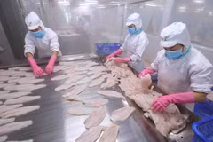 Japan among top 10 importers of Vietnam’s tra fish for first time