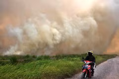 High risks of forest fires in many ASEAN countries