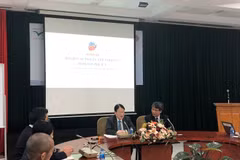 Vietnam, Japan need further cooperation for regional prosperity: Japanese expert