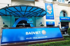 Japanese insurer to buy over 41 million shares of Bao Viet Holdings
