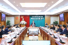 Conclusion on wrongdoings at Vietnam Steel Corp.’s Party organization