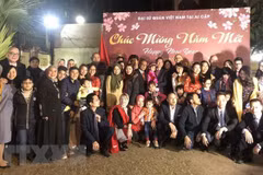 Ambassadors meet with overseas Vietnamese ahead of Tet 