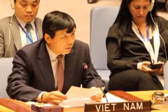 Vietnam represents ASEAN in committing to jointly protecting civilians in armed conflicts