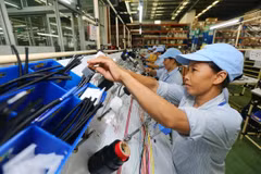 Vietnam’s economic growth predicted to be higher than target