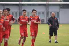 Vietnam drop two places in FIFA rankings