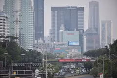 Indonesia: Land burned in forest fires surges in 2019