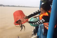 Plan to boost conservation, sustainable exploitation of aquatic resources