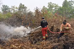Indonesia’s airport, schools forced to close due to forest fires