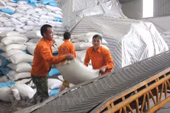 Vietnam’s trade turnover exceeds 400 billion USD 