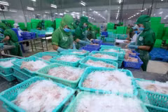 US remains largest importer of Vietnam in seven months