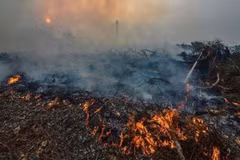 Indonesians’ life expectancy likely to fall due to haze from wildfires