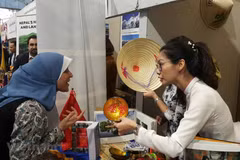Vietnam leaves strong impression at cultural festival in Egypt