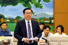 Deputy PM Hue emphasises Mekong Delta’s strategic position
