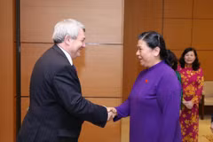 Vietnam, Czech suggested to soon work on nurse export 