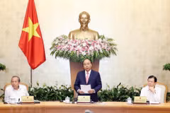 Government asks for measures to ensure coherence of legal regulations