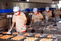 Livestock sector looks to increase exports