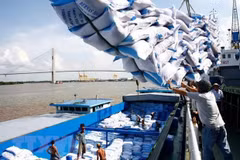Vietnam sees rice export opportunity in Egypt