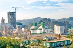 Cement sector expected to continue growth