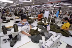 Good prospects for exports to Czech Republic