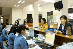 Vietnam makes giant stride in business climate improvement