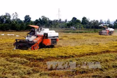 Can Tho targets to provide agricultural training for 1,400 rural people