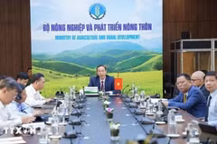 Deputy Minister of Agriculture and Rural Development Phung Duc Tien attends the 46th online meeting of the ASEAN Ministers on Agriculture and Forestry. (Photo: VNA)