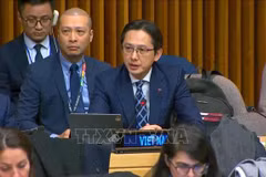Deputy Minister of Foreign Affairs Do Hung Viet speaks at the event.(Photo: VNA)