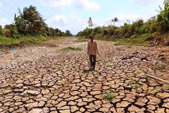 Saltwater intrusion in Mekong Delta to abate but concerns remain
