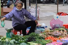 February’s CPI rise fuelled by strong Tet consumption