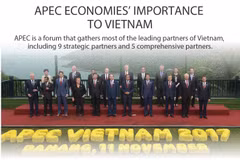 APEC economies' importance to Vietnam