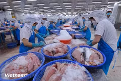 Vietnam to meet EC’s anti-IUU fishing recommendations