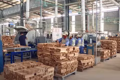 More interest rate cuts, debt repayment deadline extension for enterprises: official