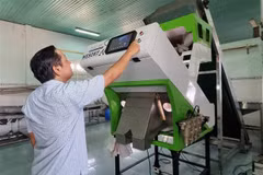 Ninh Thuan profits from sci-tech application to agriculture