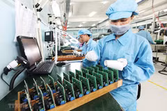 Hung Yen overfulfils domestically-sourced budget collection target