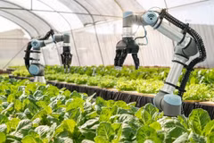 Application of Industry 4.0 technologies opens up new direction for Hanoi agriculture
