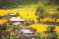 Financial aid for ethnic minority housing and land reclamation