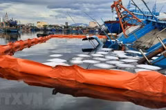 More risks of environmental incidents at sea amid pandemic