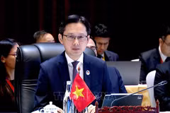 Deputy Foreign Minister Do Hung Viet, head of SOM delegation of Vietnam (Photo: VNA)