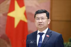 Chairman of the NA's Committee for External Relations Vu Hai Ha (Photo: VNA)