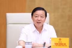 Deputy Prime Minister Tran Hong Ha speaks at the meeting (Photo: VNA)