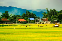 Admiring the largest rice field in the Northwest