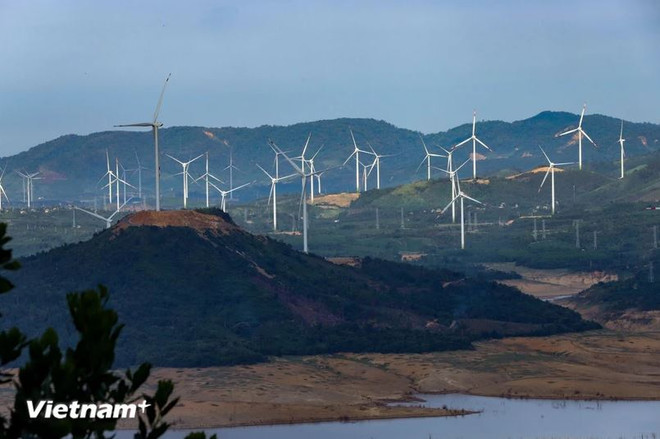 BAO VE DONG VAT 1.JPG