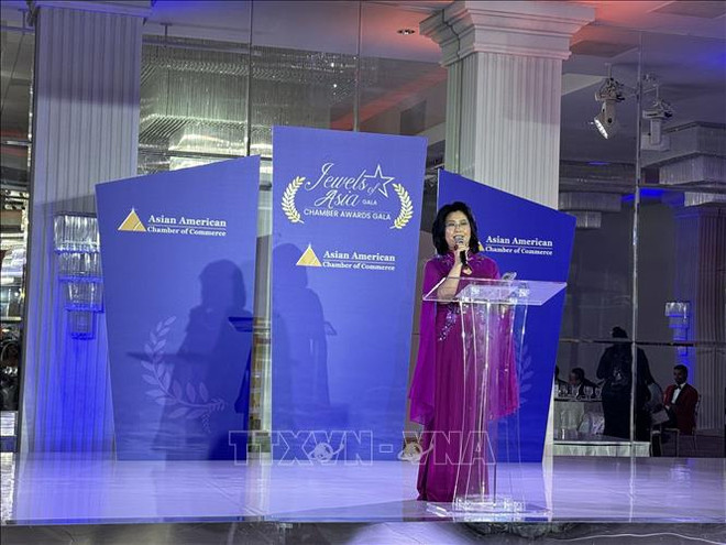 AACC President Cindy Shao speaks at the event. (Photo: VNA) 31.jpg