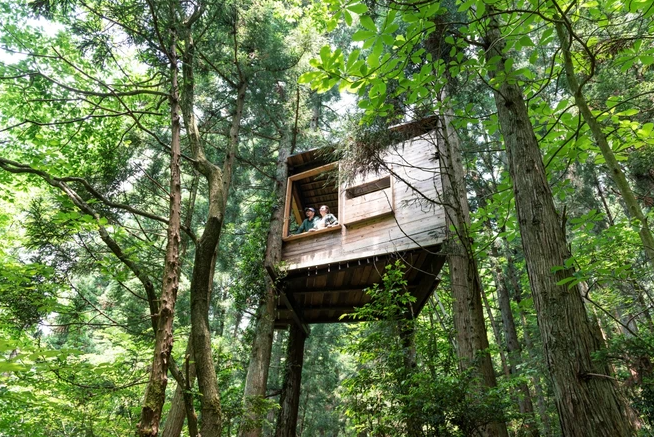 Vietnamese tourists are interested in treehouse. (Photo: VietnamPlus) trend3.PNG